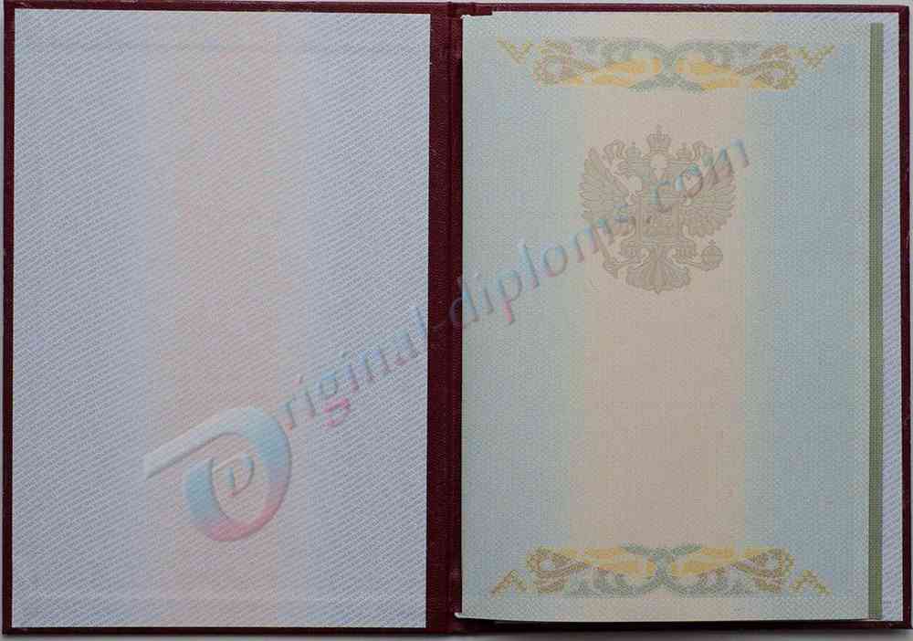 КРАСНЫЙ диплом специалиста (С ОТЛИЧИЕМ) 2004-2009